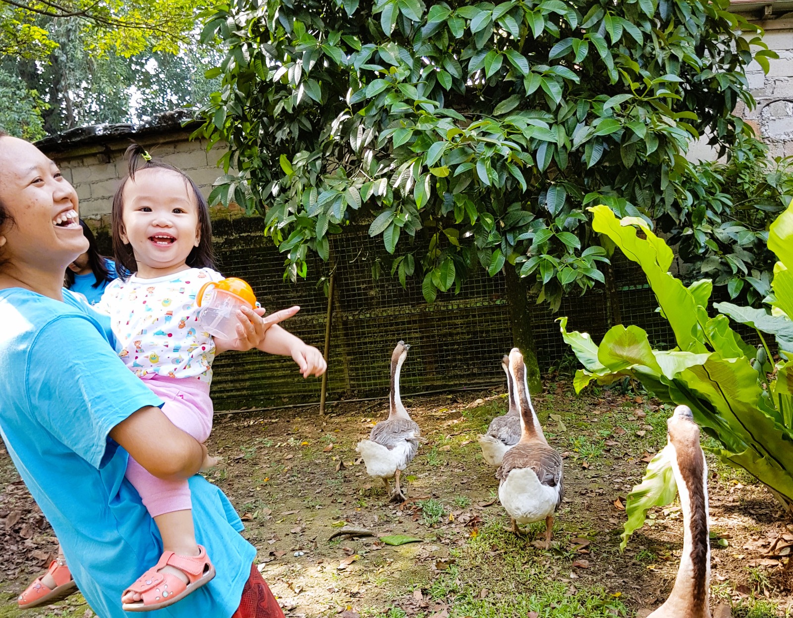 Helper with baby at outdoor duck pond