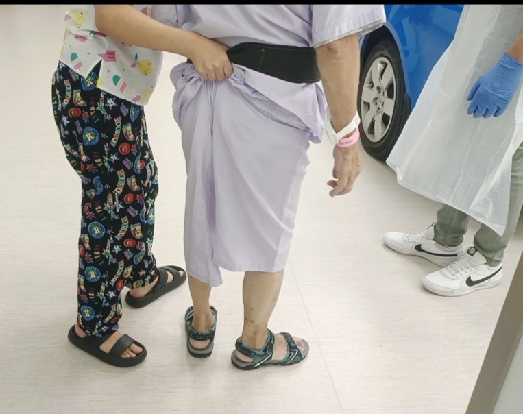 Helper assisting elderly with walking